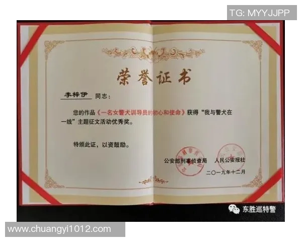 专访王强揭秘网球成功背后的心路历程与训练秘诀